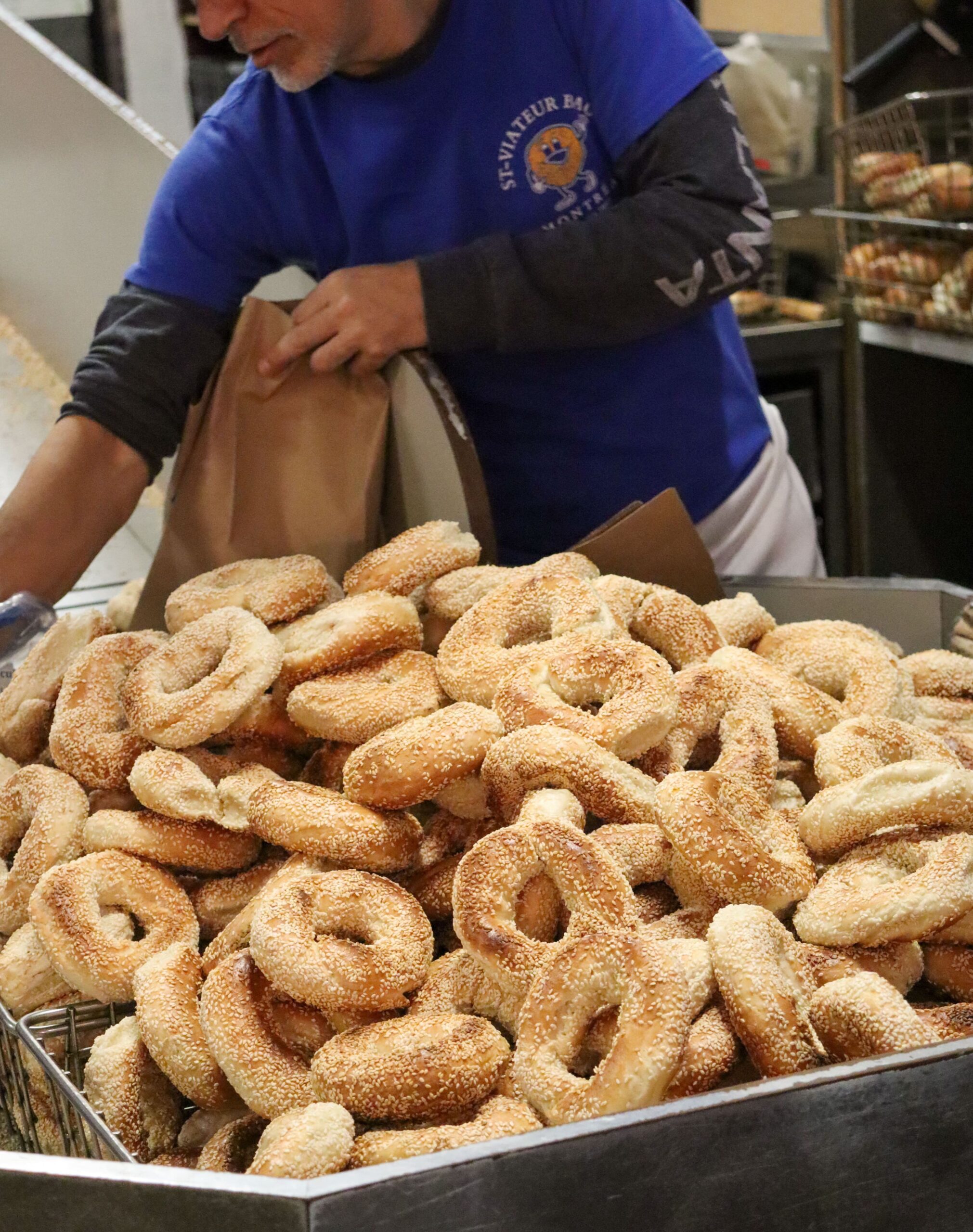 Fresh bagels from the St-Viateur bagel shop of Montreal