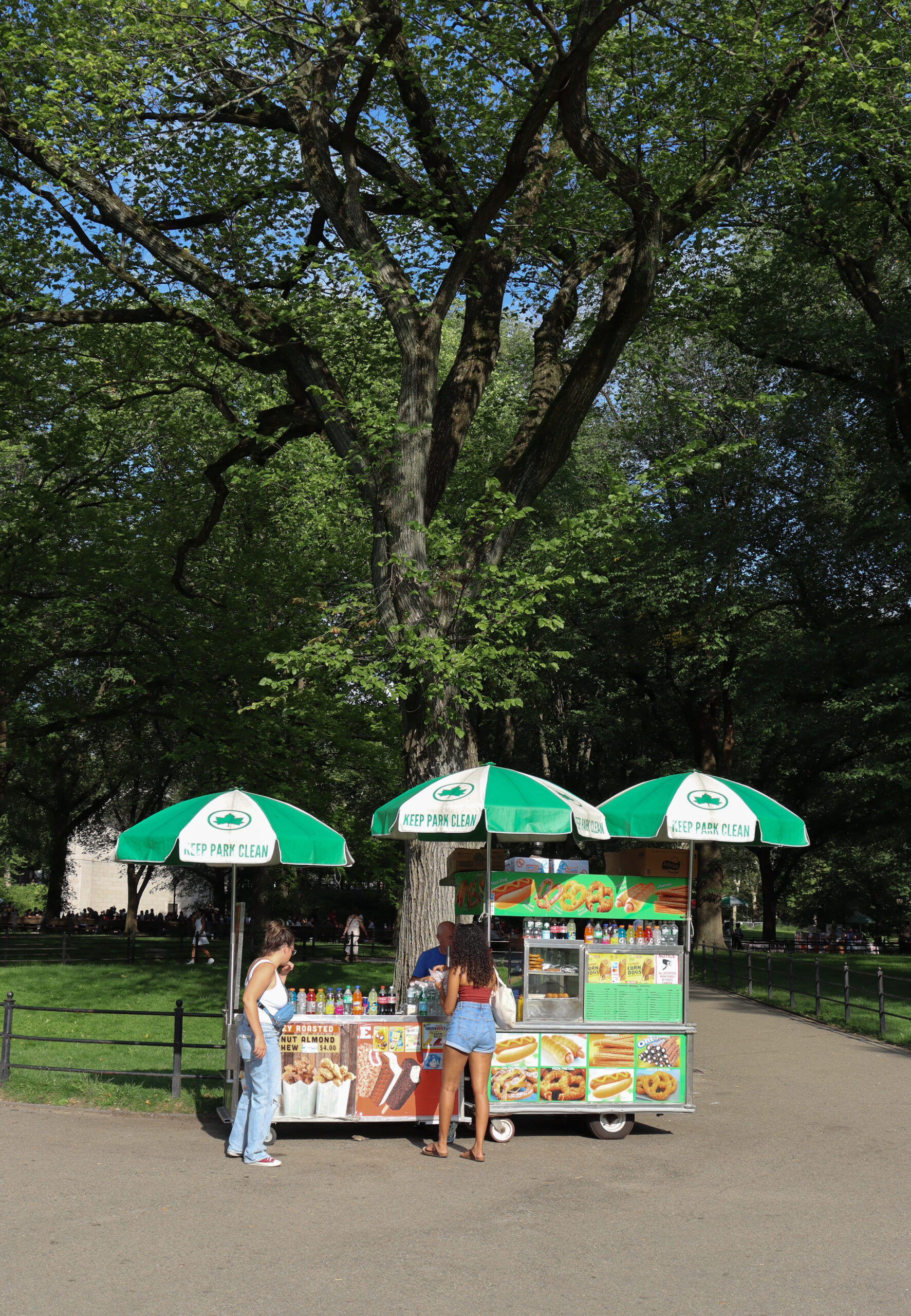 A green food truck selling the typical New York snacks in Central Park.